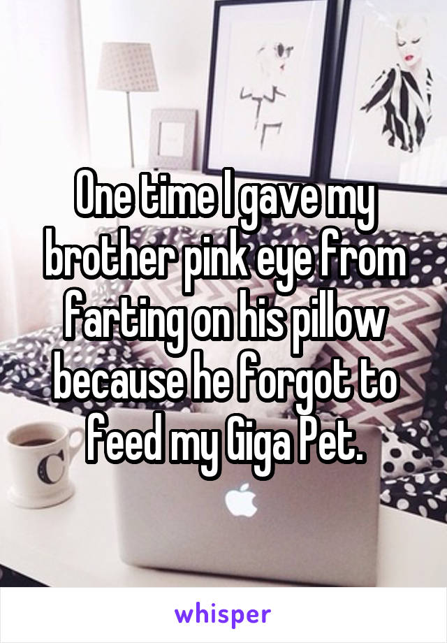 One time I gave my brother pink eye from farting on his pillow because he forgot to feed my Giga Pet.
