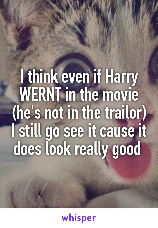 I think even if Harry WERNT in the movie (he's not in the trailor) I still go see it cause it does look really good 