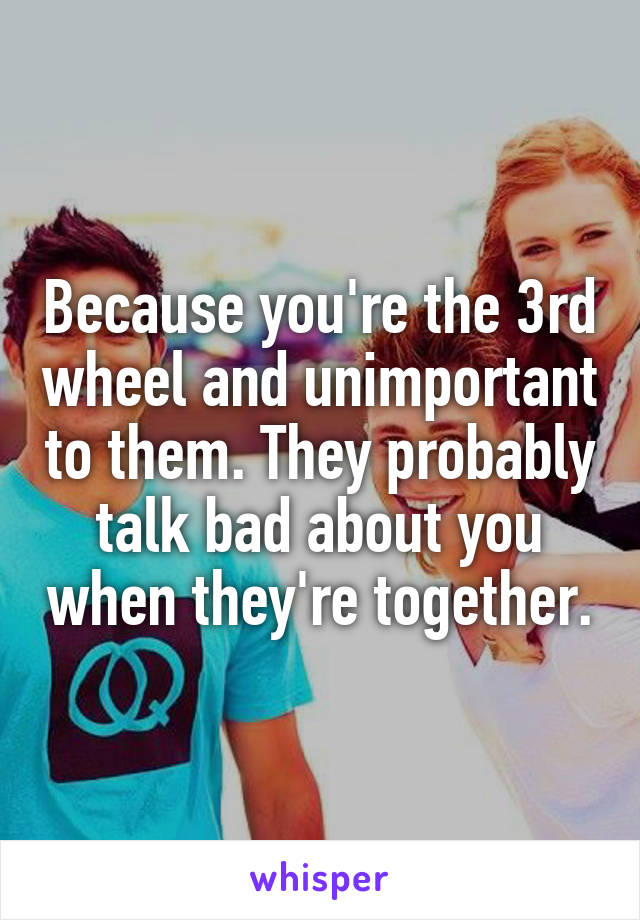 Because you're the 3rd wheel and unimportant to them. They probably talk bad about you when they're together.