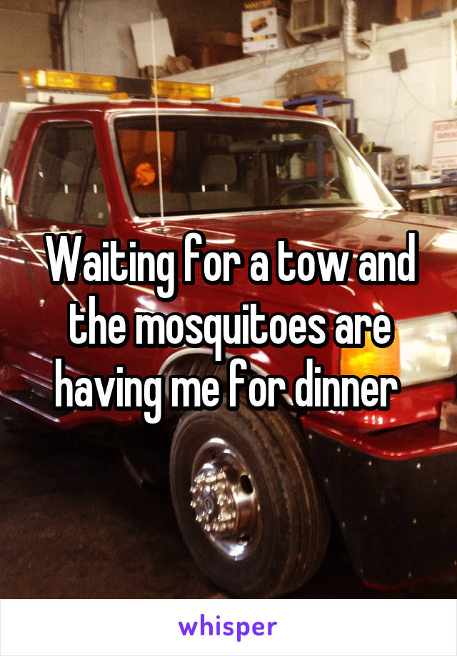 Waiting for a tow and the mosquitoes are having me for dinner 