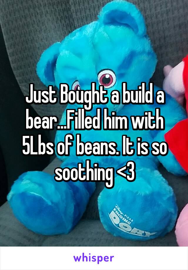 Just Bought a build a bear...Filled him with 5Lbs of beans. It is so soothing <3