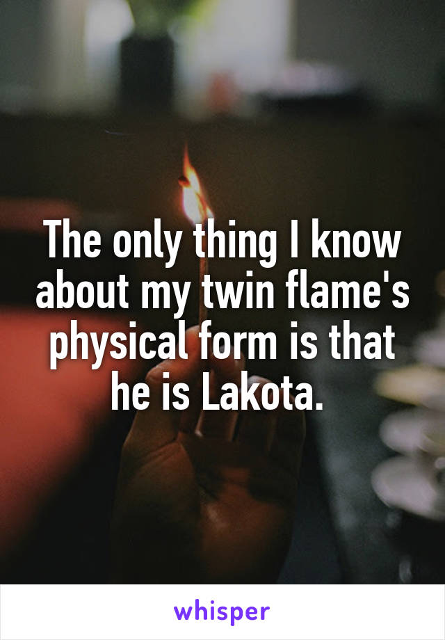 The only thing I know about my twin flame's physical form is that he is Lakota. 