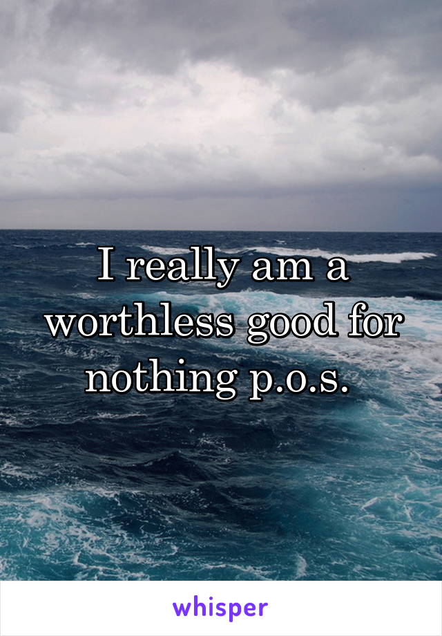 I really am a worthless good for nothing p.o.s. 
