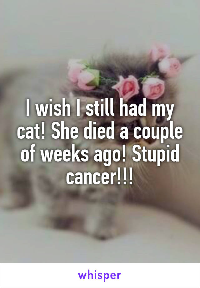 I wish I still had my cat! She died a couple of weeks ago! Stupid cancer!!!