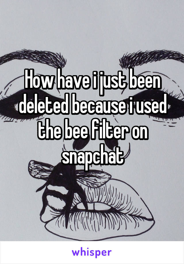 How have i just been deleted because i used the bee filter on snapchat
