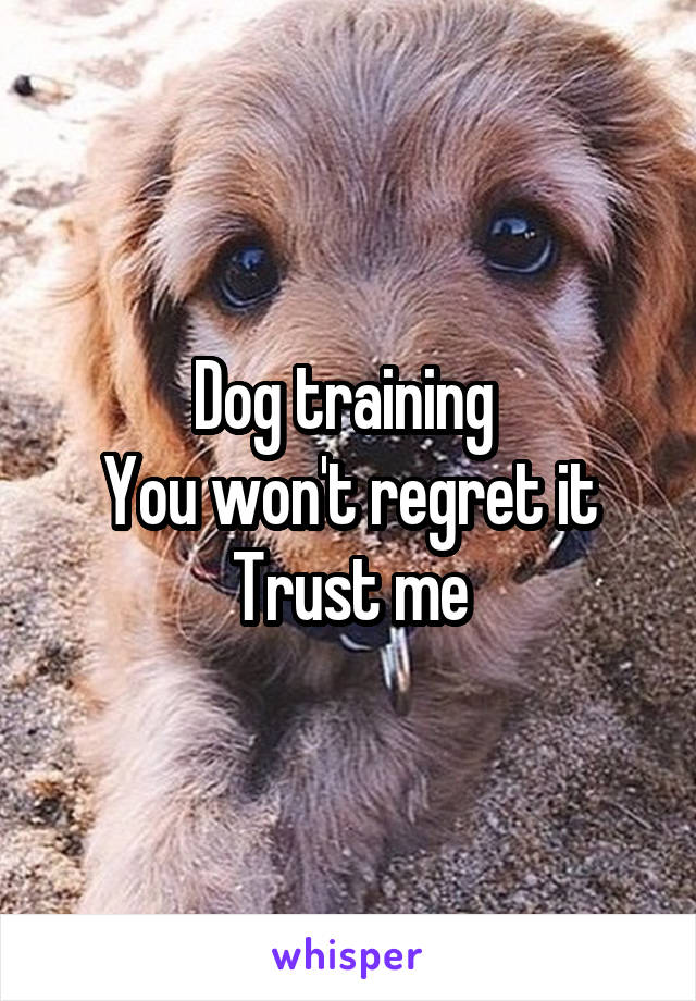 Dog training 
You won't regret it
Trust me