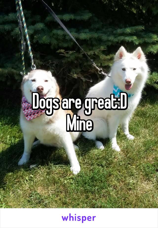Dogs are great:D
Mine