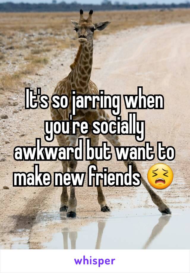 It's so jarring when you're socially awkward but want to make new friends 😣