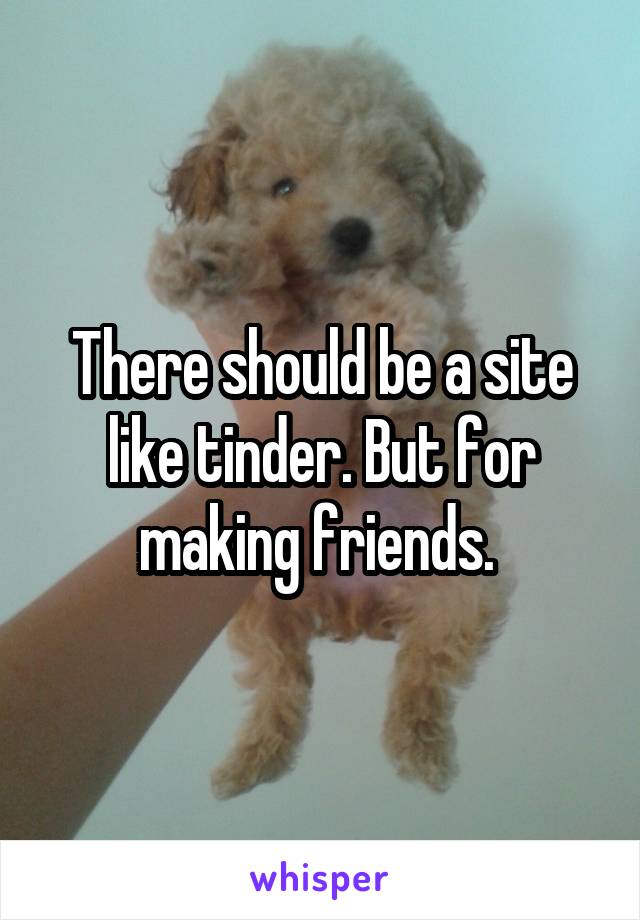 There should be a site like tinder. But for making friends. 