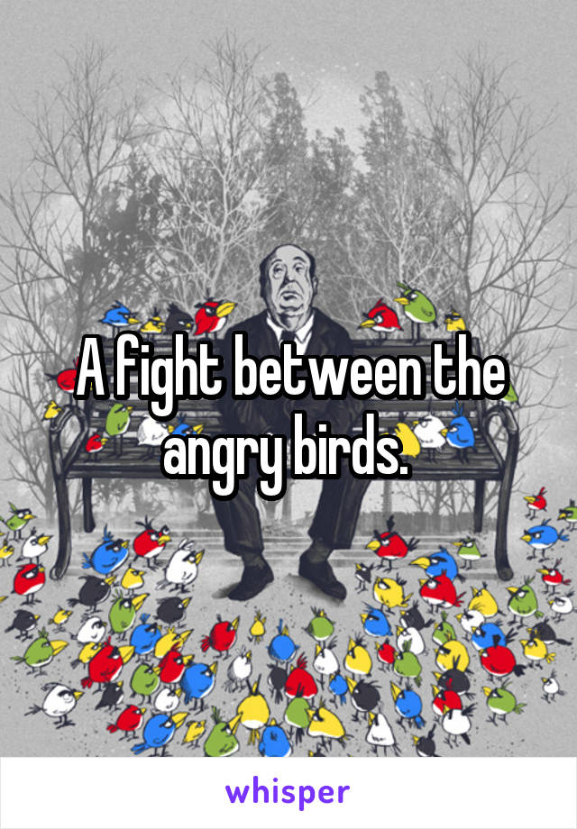 A fight between the angry birds. 