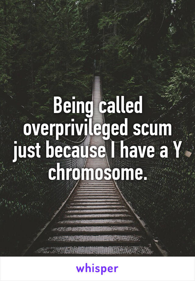 Being called overprivileged scum just because I have a Y chromosome.