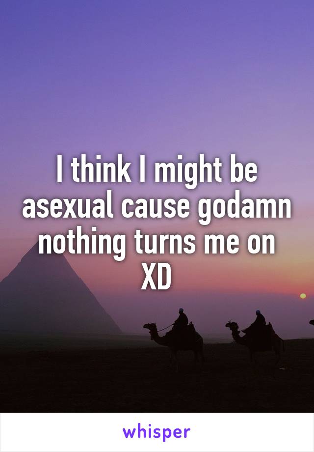 I think I might be asexual cause godamn nothing turns me on XD
