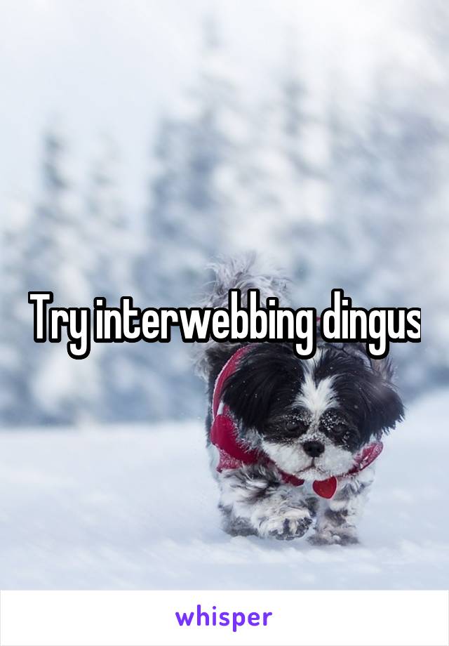 Try interwebbing dingus