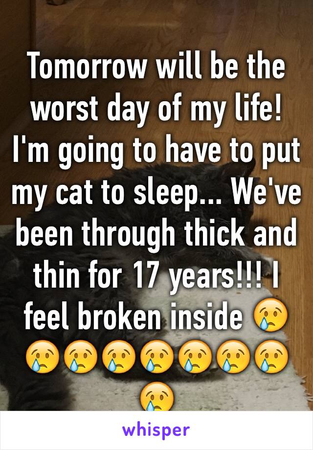 Tomorrow will be the worst day of my life! I'm going to have to put my cat to sleep... We've been through thick and thin for 17 years!!! I feel broken inside 😢😢😢😢😢😢😢😢😢