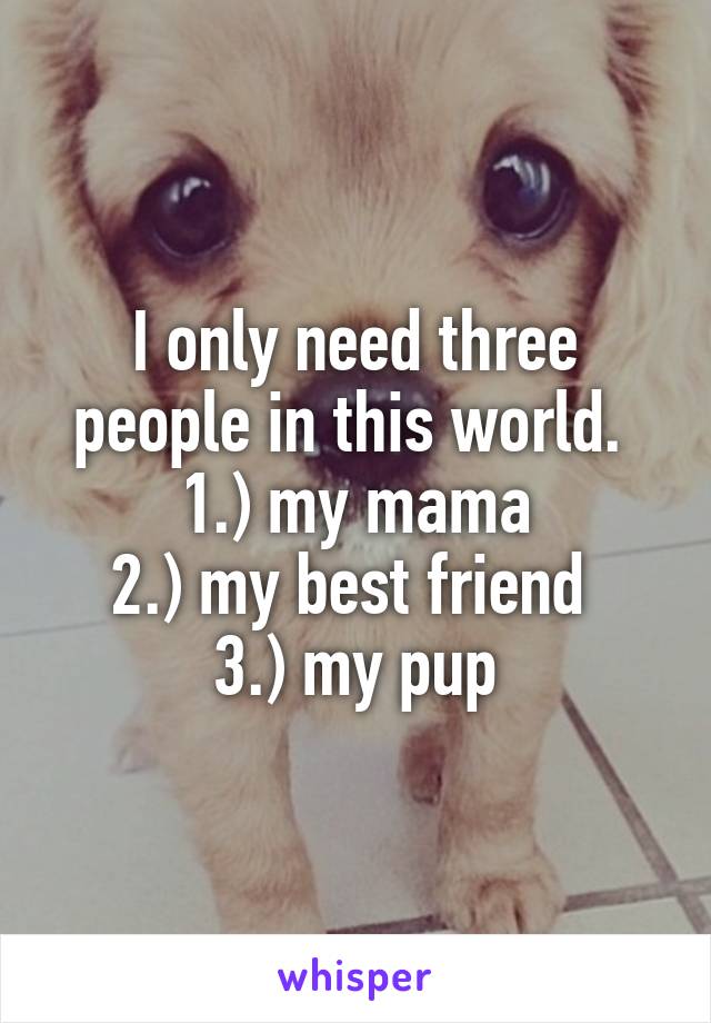 I only need three people in this world. 
1.) my mama
2.) my best friend 
3.) my pup