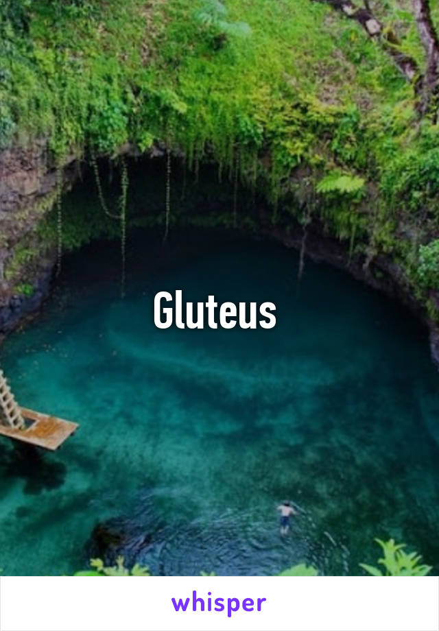 Gluteus 