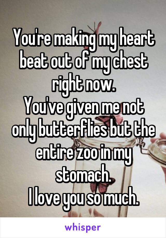 You're making my heart beat out of my chest right now.
You've given me not only butterflies but the entire zoo in my stomach.
I love you so much.