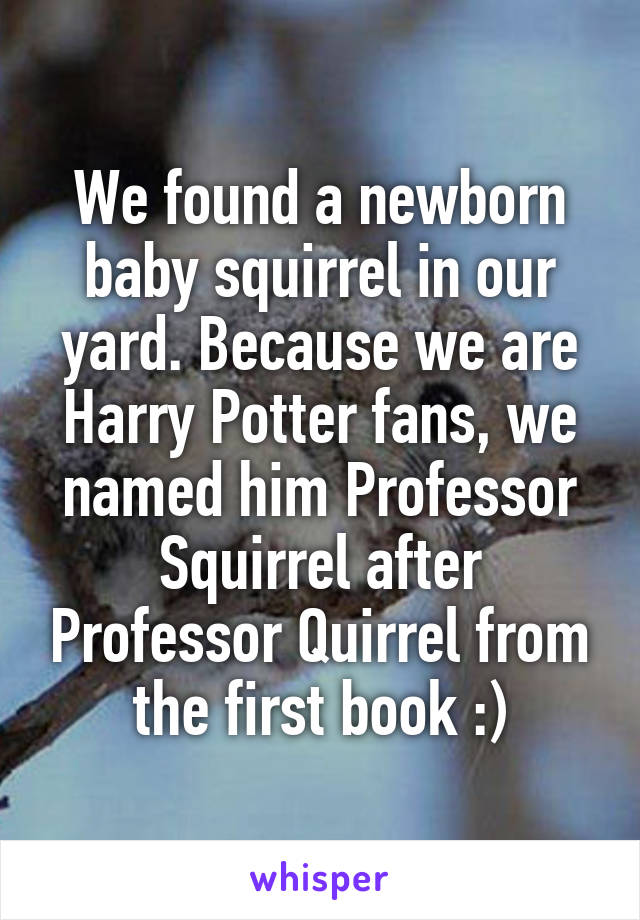 We found a newborn baby squirrel in our yard. Because we are Harry Potter fans, we named him Professor Squirrel after Professor Quirrel from the first book :)