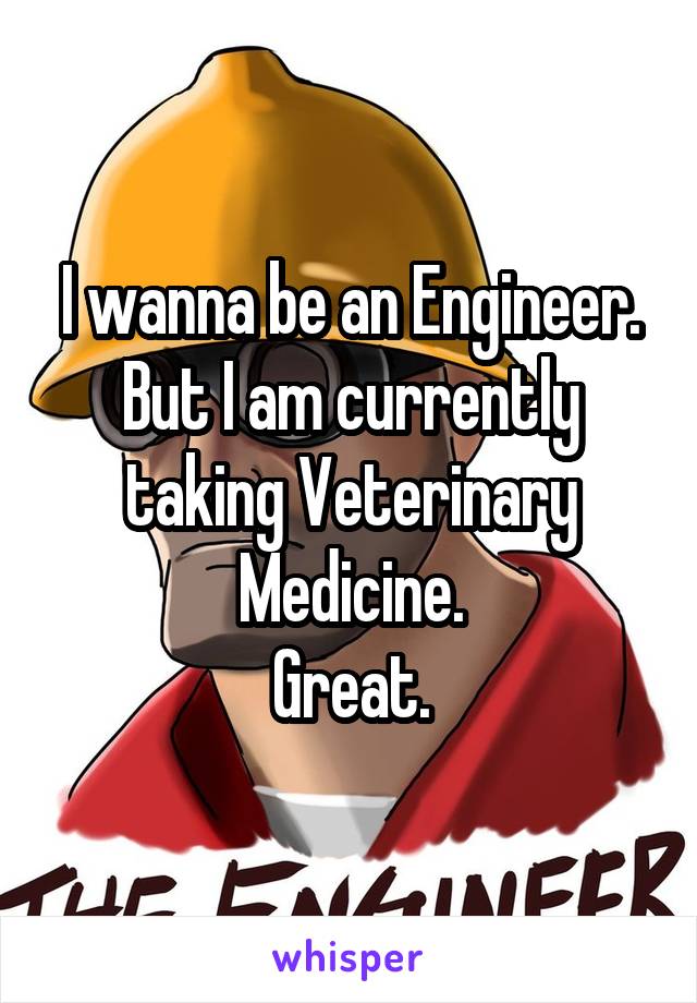 I wanna be an Engineer.
But I am currently taking Veterinary Medicine.
Great.