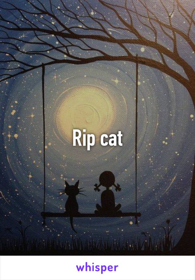 Rip cat