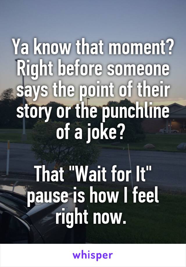 Ya know that moment? Right before someone says the point of their story or the punchline of a joke? 

That "Wait for It" pause is how I feel right now. 