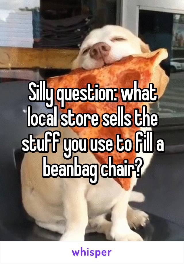 Silly question: what local store sells the stuff you use to fill a beanbag chair?