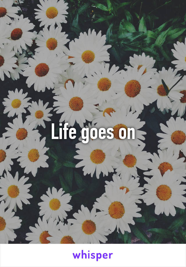 Life goes on