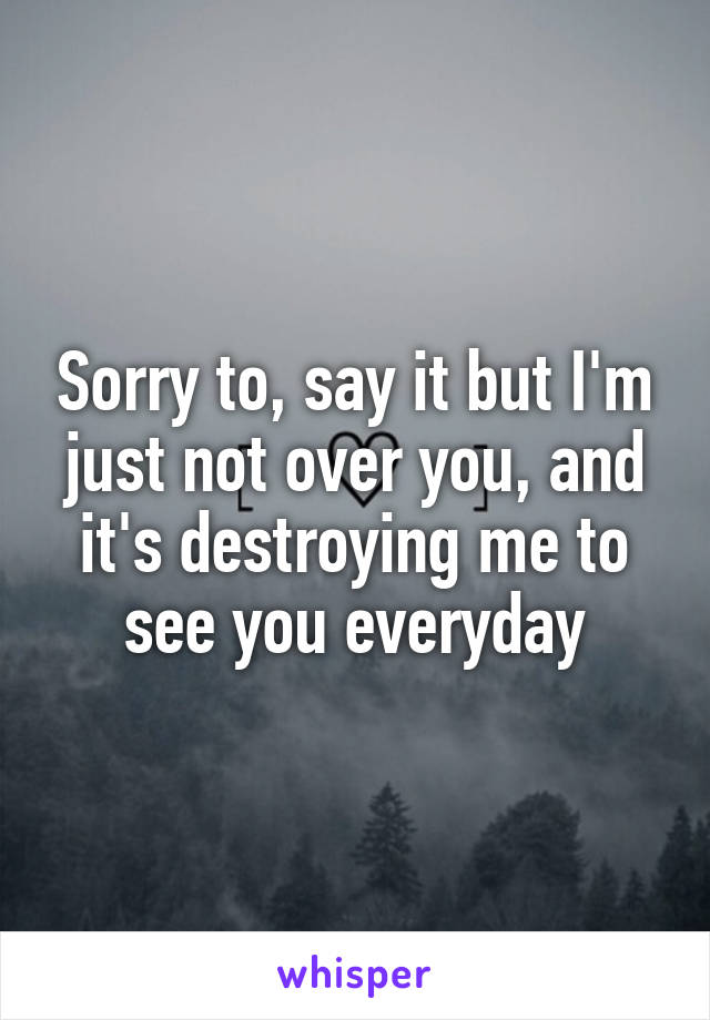 Sorry to, say it but I'm just not over you, and it's destroying me to see you everyday