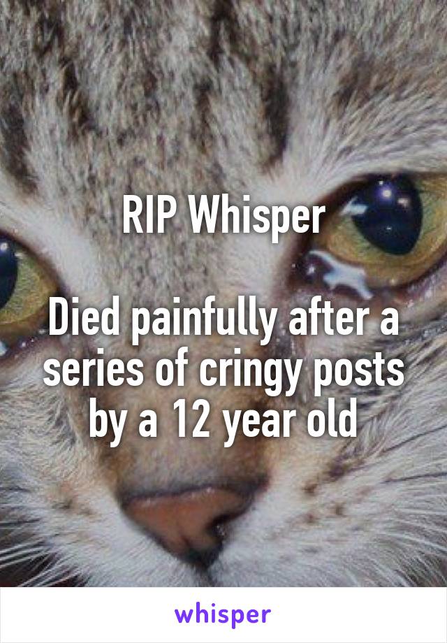 RIP Whisper

Died painfully after a series of cringy posts by a 12 year old