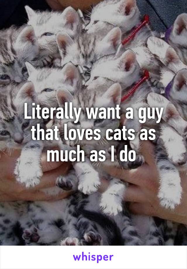 Literally want a guy that loves cats as much as I do 