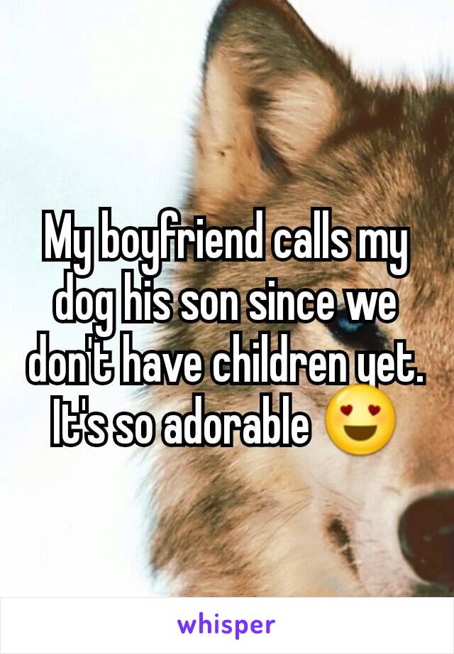 My boyfriend calls my dog his son since we don't have children yet. It's so adorable 😍