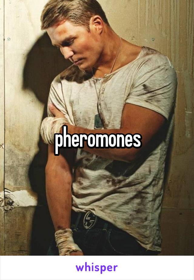 pheromones