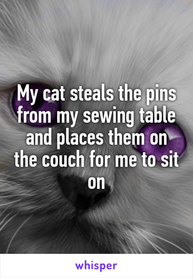 My cat steals the pins from my sewing table and places them on the couch for me to sit on