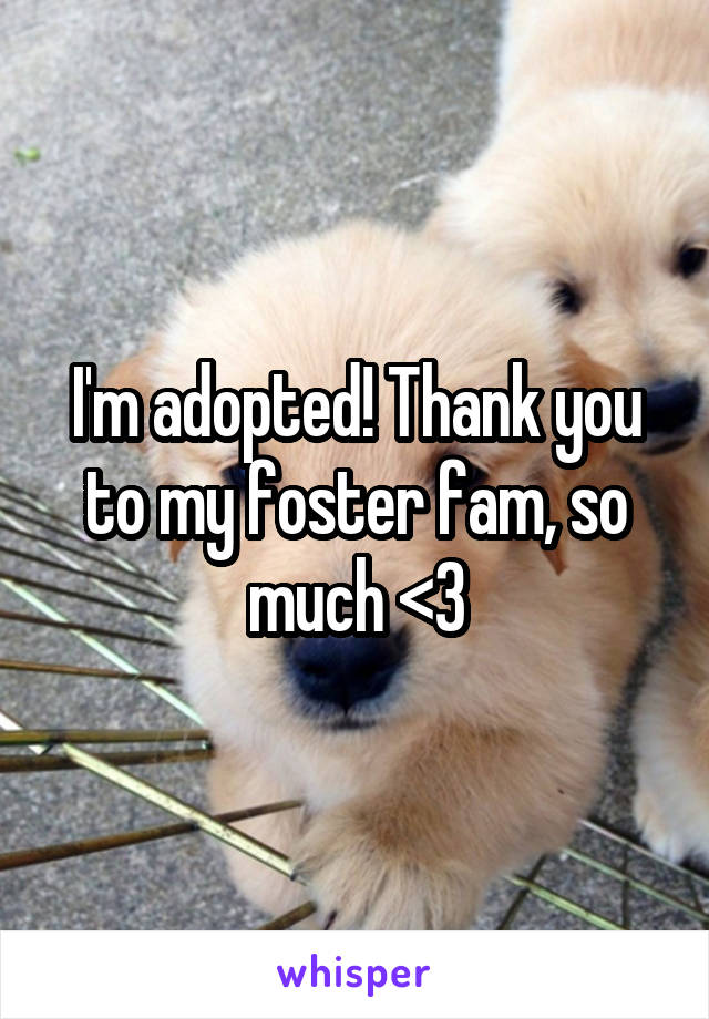 I'm adopted! Thank you to my foster fam, so much <3