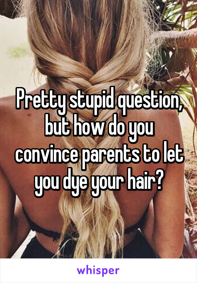 Pretty stupid question, but how do you convince parents to let you dye your hair?