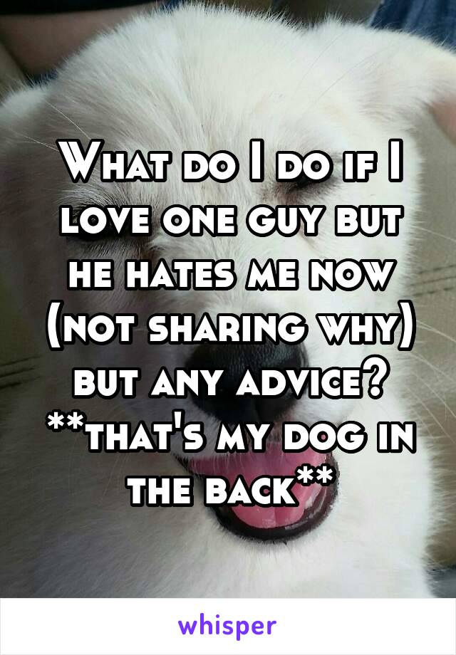 What do I do if I love one guy but he hates me now (not sharing why) but any advice? **that's my dog in the back**