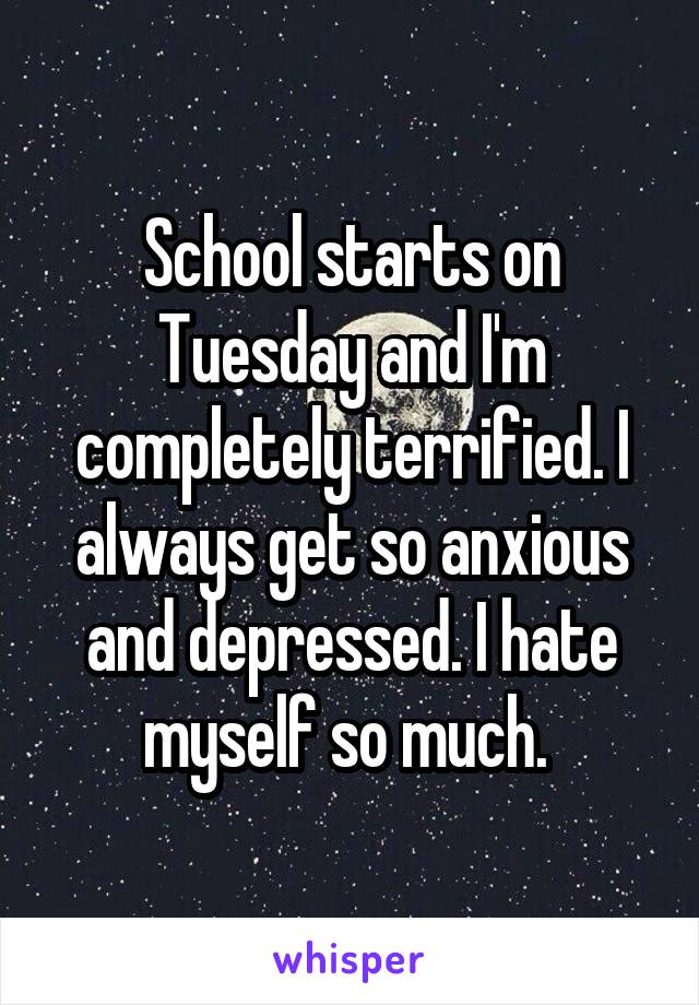 School starts on Tuesday and I'm completely terrified. I always get so anxious and depressed. I hate myself so much. 