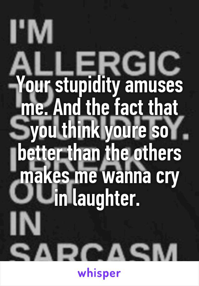 Your stupidity amuses me. And the fact that you think youre so better than the others makes me wanna cry in laughter. 