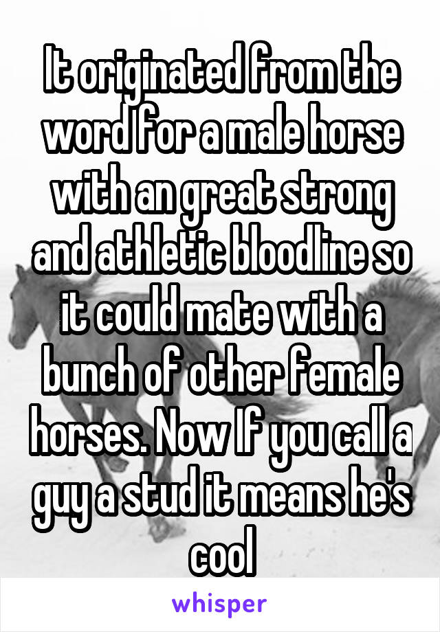 It originated from the word for a male horse with an great strong and athletic bloodline so it could mate with a bunch of other female horses. Now If you call a guy a stud it means he's cool