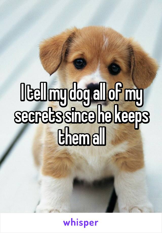 I tell my dog all of my secrets since he keeps them all