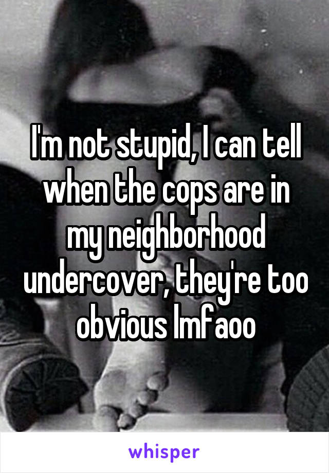 I'm not stupid, I can tell when the cops are in my neighborhood undercover, they're too obvious lmfaoo