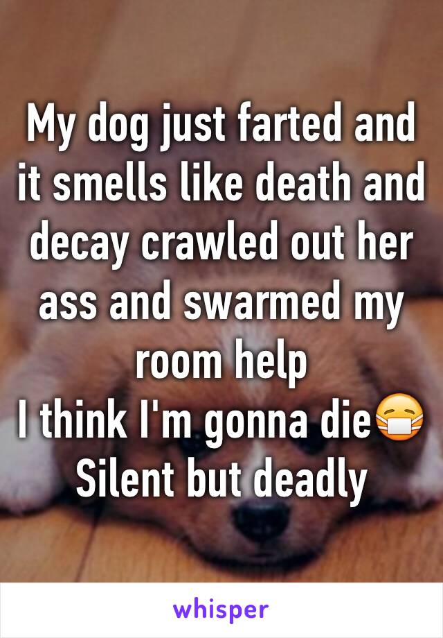 My dog just farted and it smells like death and decay crawled out her ass and swarmed my room help
I think I'm gonna die😷
Silent but deadly