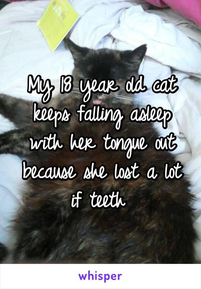 My 18 year old cat keeps falling asleep with her tongue out because she lost a lot if teeth 