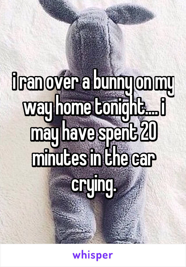 i ran over a bunny on my way home tonight.... i may have spent 20 minutes in the car crying.