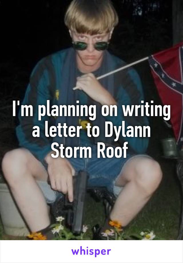 I'm planning on writing a letter to Dylann Storm Roof 