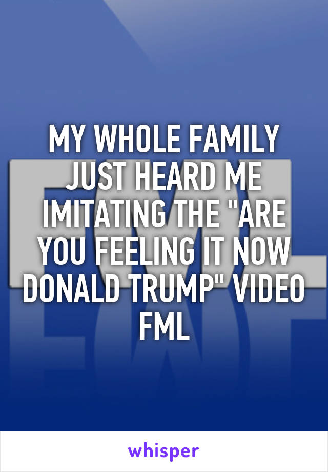 MY WHOLE FAMILY JUST HEARD ME IMITATING THE "ARE YOU FEELING IT NOW DONALD TRUMP" VIDEO FML