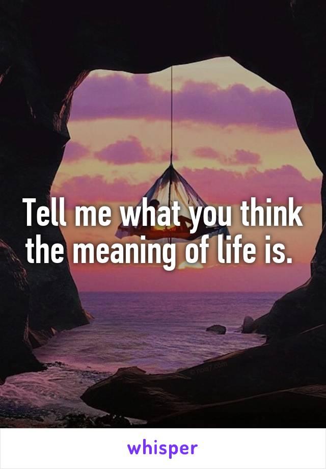 Tell me what you think the meaning of life is. 