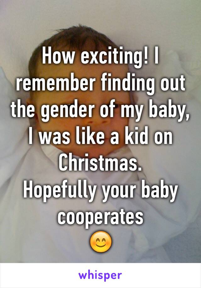 How exciting! I remember finding out the gender of my baby, I was like a kid on Christmas. 
Hopefully your baby cooperates 
😊