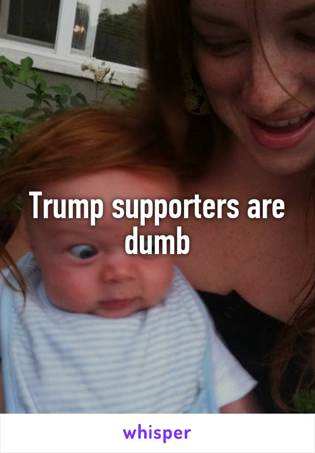 Trump supporters are dumb