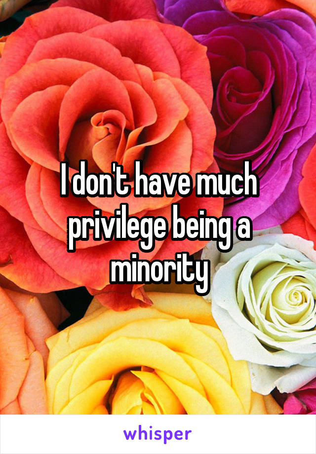 I don't have much privilege being a minority